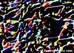 MARIAMA B 3.gif